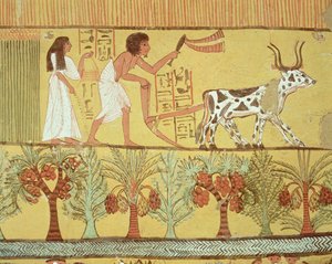 Sennedjem et sa femme dans les champs semant et labourant, de la tombe de Sennedjem, Village des Travailleurs, Nouvel Empire